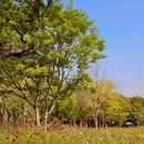 深圳旅游 缩略图 7