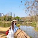 深圳旅游 缩略图 11