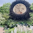 深圳旅游 缩略图 9