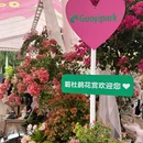 深圳旅游 缩略图 1