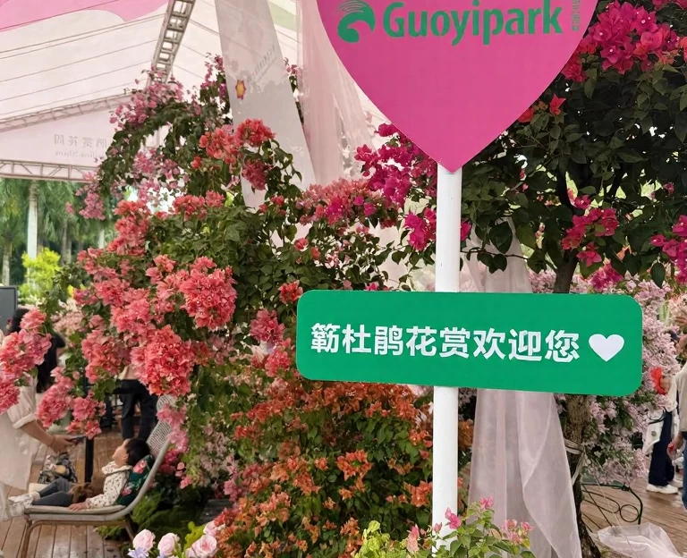深圳旅游 1
