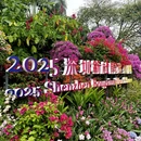 深圳旅游 缩略图 2