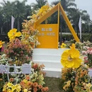 深圳旅游 缩略图 9