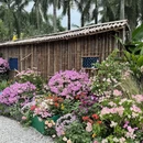 深圳旅游 缩略图 15
