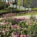 广州旅游 缩略图 6