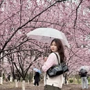 南京旅游 缩略图 8