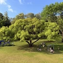 广州旅游 缩略图 8