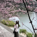 南京旅游 缩略图 4