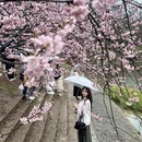 南京旅游 缩略图 9
