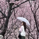 南京旅游 缩略图 5