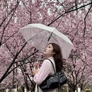 南京旅游 缩略图 6