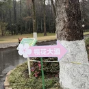 南京旅游 缩略图 14
