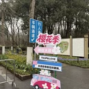 南京旅游 缩略图 13