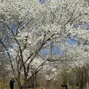 北京旅游 缩略图 7