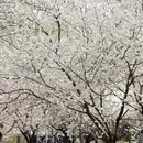 北京旅游 缩略图 5