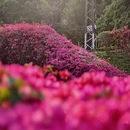 广州旅游 缩略图 4