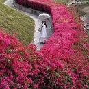 广州旅游 缩略图 2