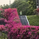 广州旅游 缩略图 6