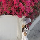 广州旅游 缩略图 10