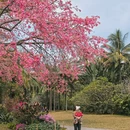 深圳旅游 缩略图 9