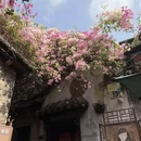 深圳旅游 缩略图 2