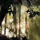 广州旅游 缩略图 7
