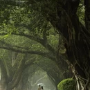 广州旅游 缩略图 1