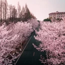 广州旅游 缩略图 4