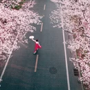 广州旅游 缩略图 6