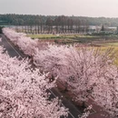 广州旅游 缩略图 5