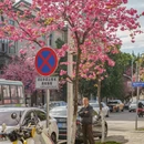 大理州旅游 缩略图 2