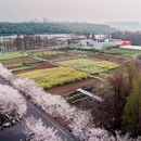 广州旅游 缩略图 9