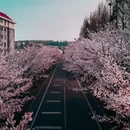 广州旅游 缩略图 2