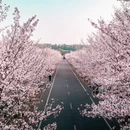 广州旅游 缩略图 7