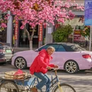 大理州旅游 缩略图 4