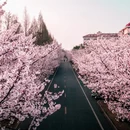广州旅游 缩略图 8