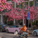 大理州旅游 缩略图 3