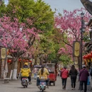 大理州旅游 缩略图 9