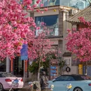 大理州旅游 缩略图 14