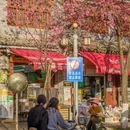 大理州旅游 缩略图 10