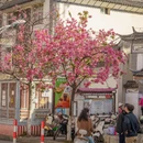 大理州旅游 缩略图 12
