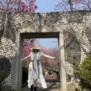 大理州旅游 缩略图 1