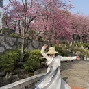 大理州旅游 缩略图 3