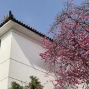 大理州旅游 缩略图 4