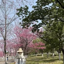 大理州旅游 缩略图 8