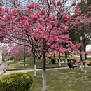 大理州旅游 缩略图 6