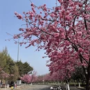 大理州旅游 缩略图 7