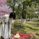大理州旅游 缩略图 10