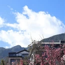 大理州旅游 缩略图 2