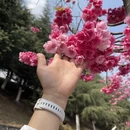 大理州旅游 缩略图 12